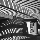 Shadows